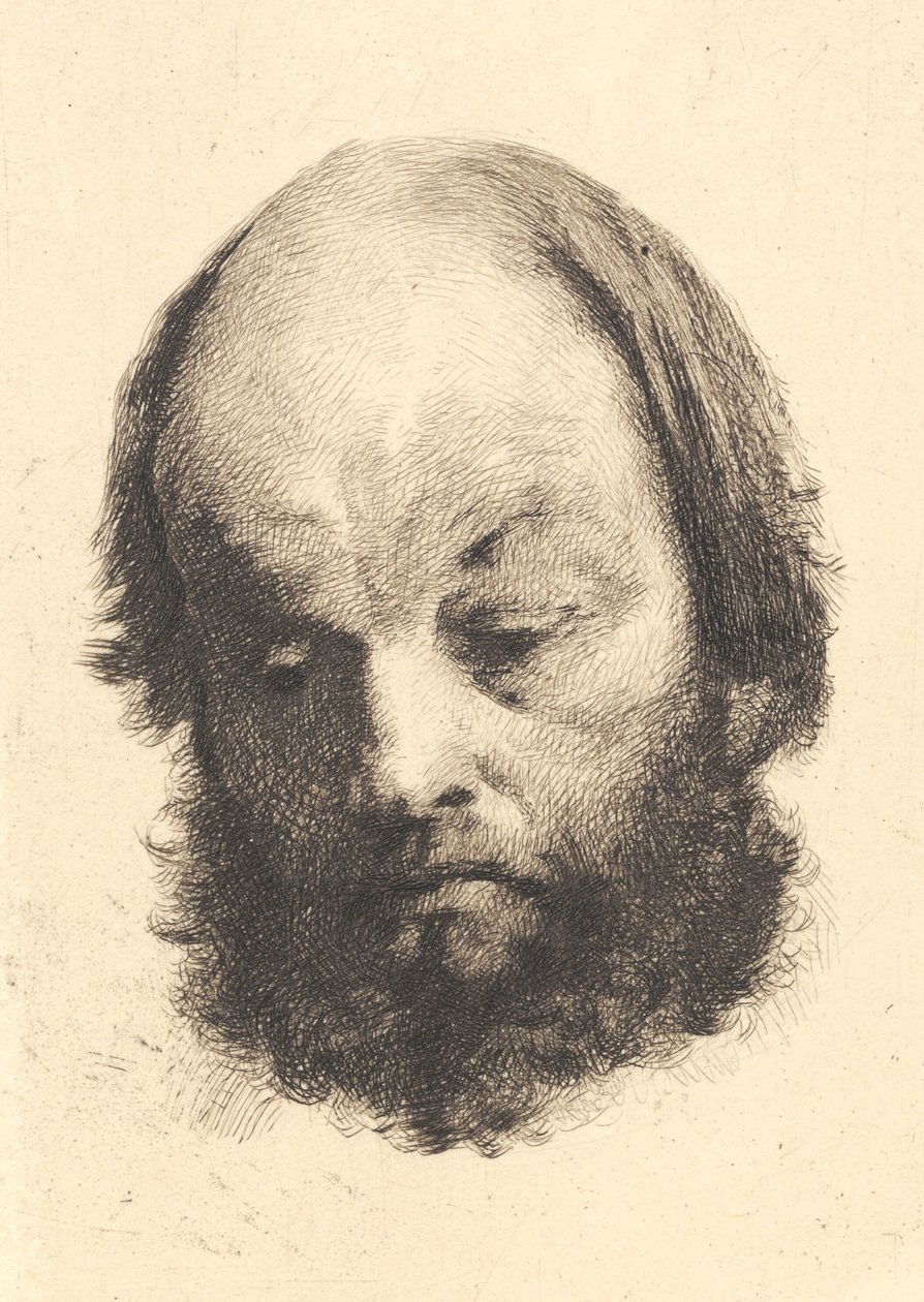 Hombre con barba negra, Garibaldi de Frans Schwartz