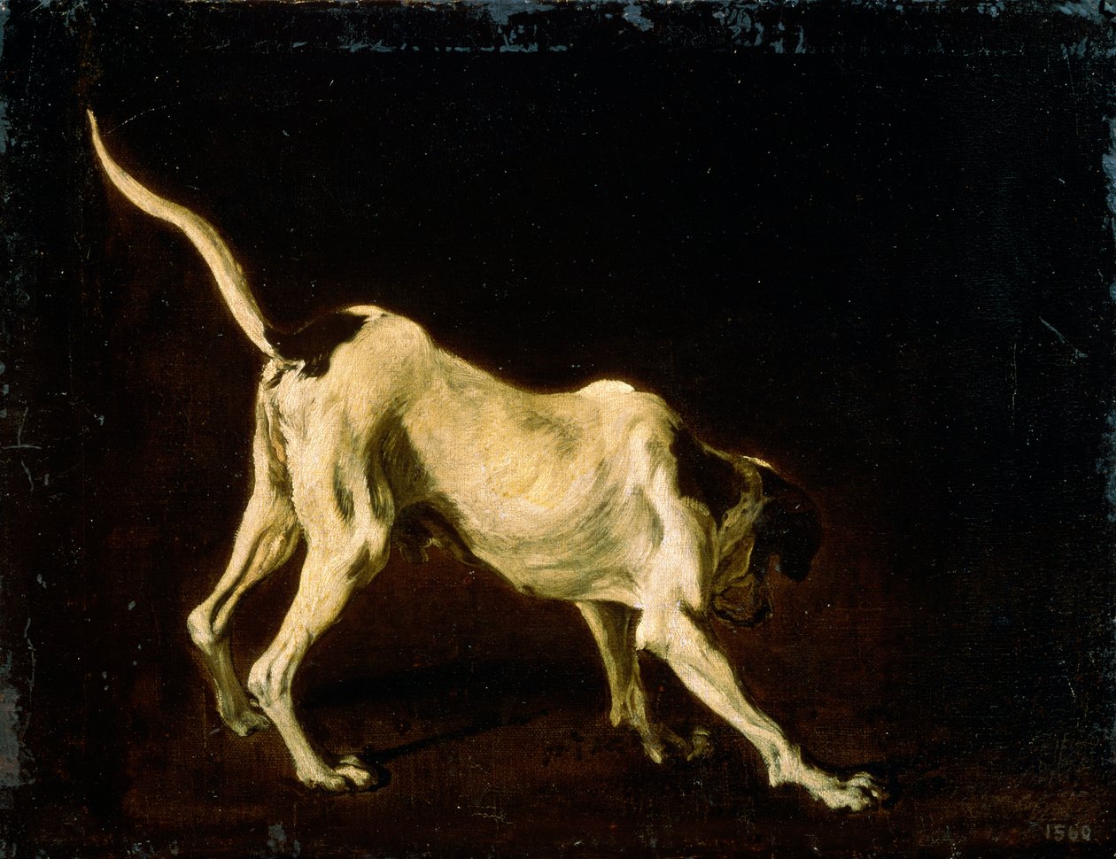 Un Perro, siglo XVII de Frans Snyders or Snijders