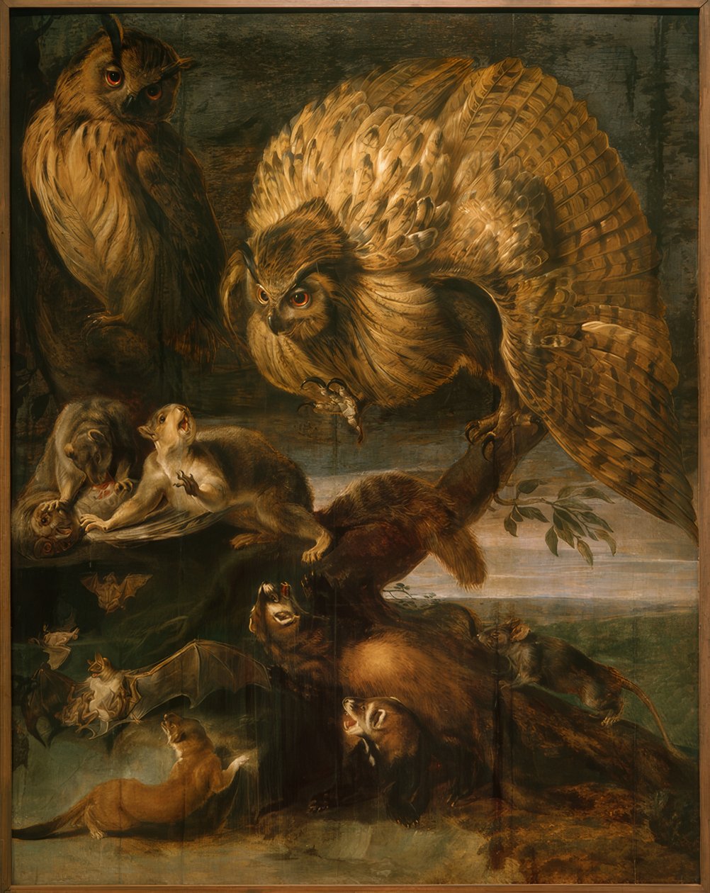 Animales de la noche de Frans Snyders
