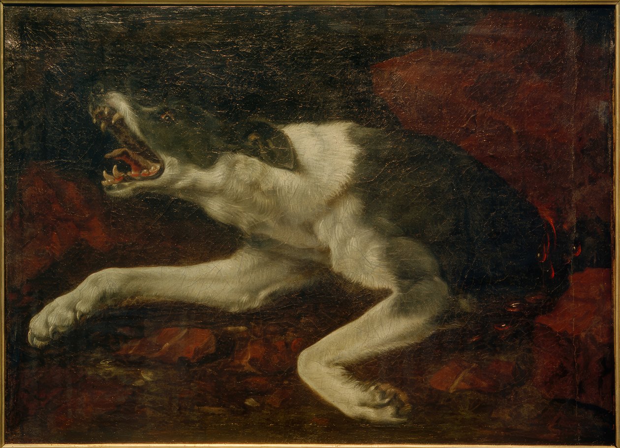 Perro herido de Frans Snyders or Snijders