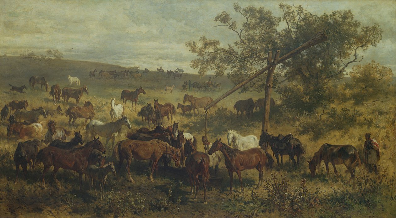 Caballos en un abrevadero de Franz Adam