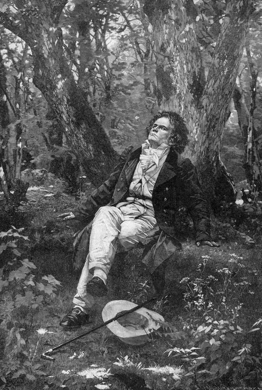 Beethoven, 1906 de Franz Hanfstaengl