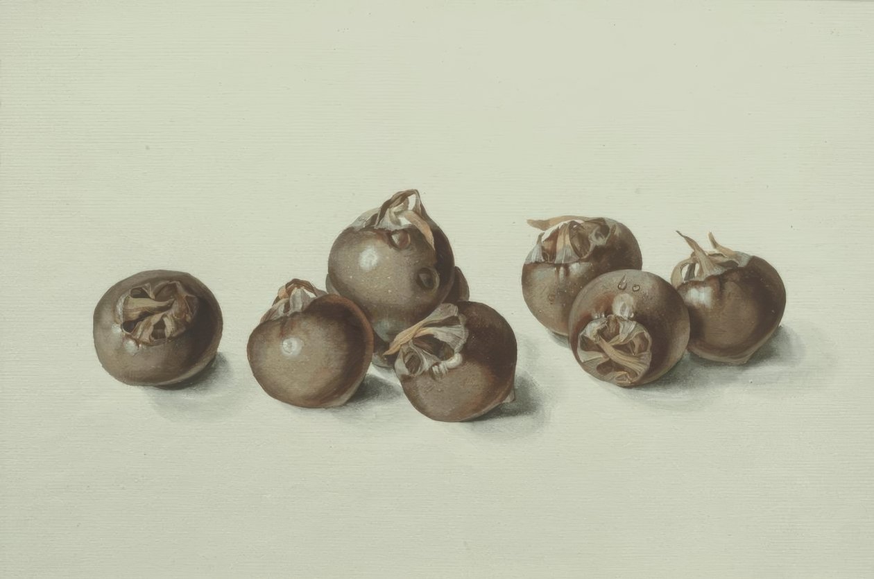 Nísperos de Franz Horny