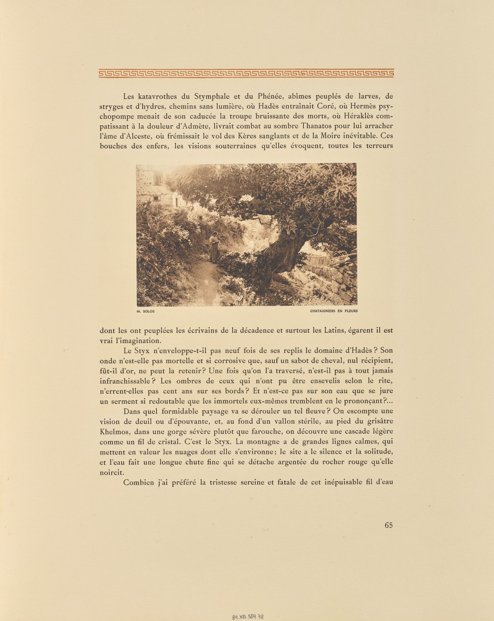 Solos. Castaños en flor de Frédéric Boissonnas