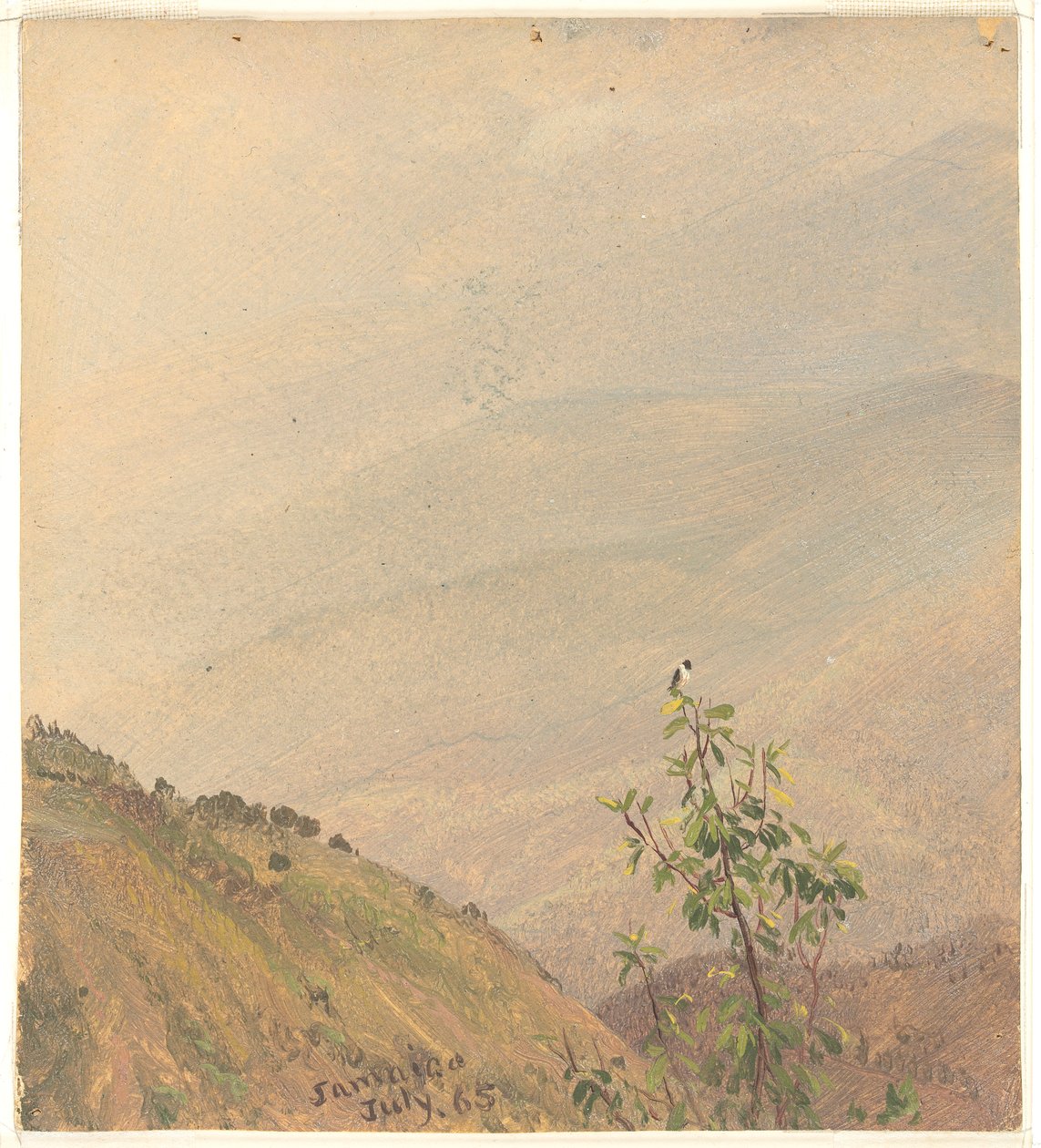 Colinas distantes, Jamaica de Frederic Edwin Church