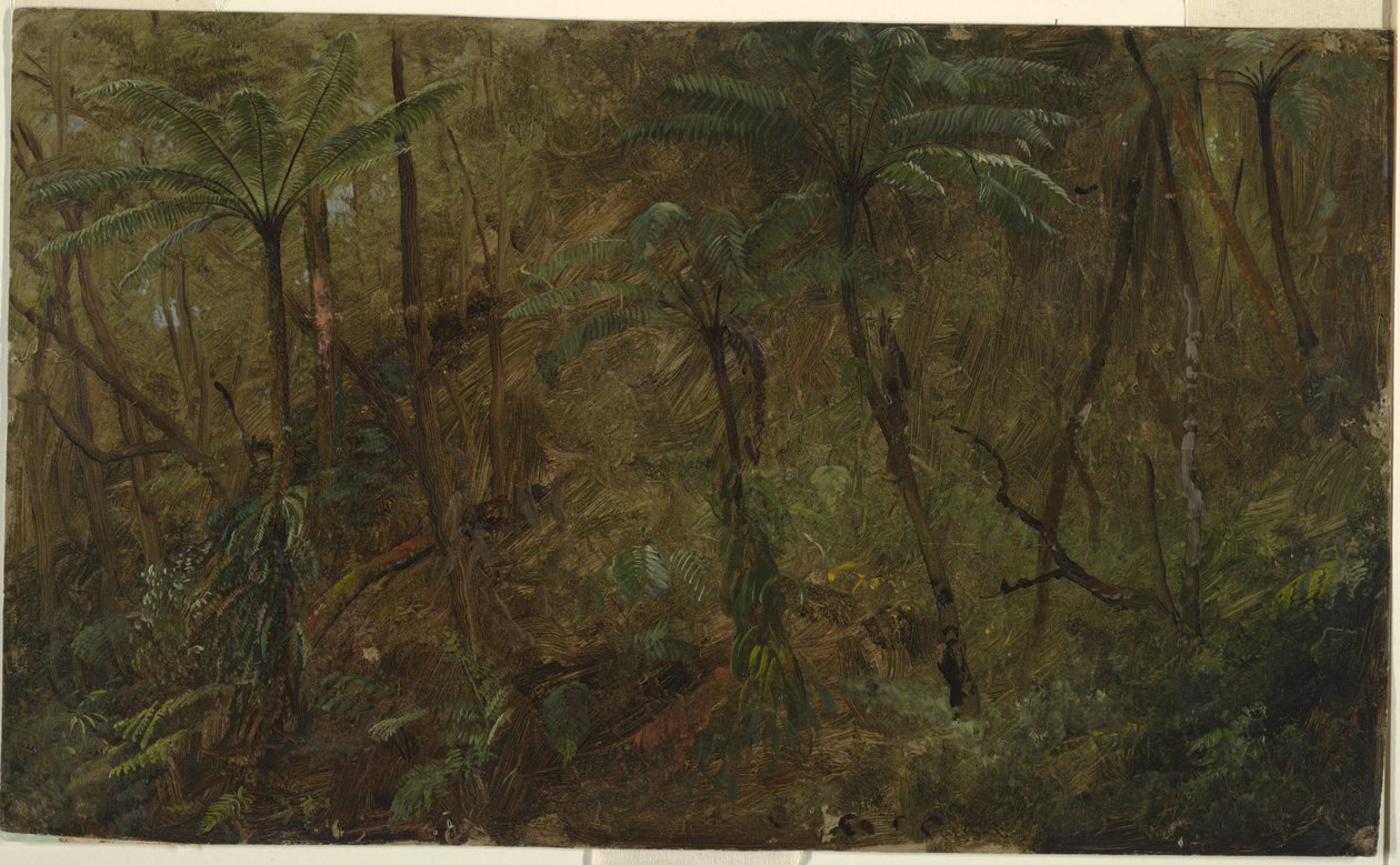 En el bosque, Jamaica de Frederic Edwin Church