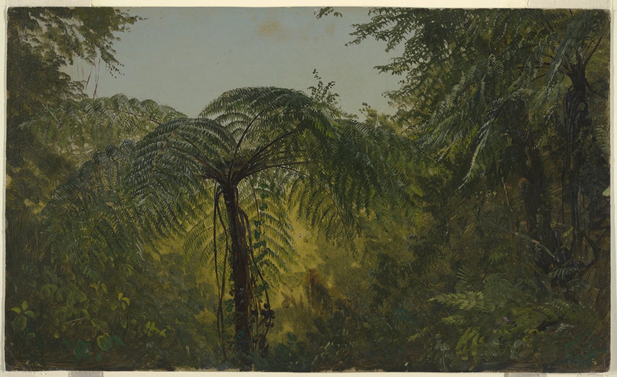 Follaje de la jungla, Jamaica de Frederic Edwin Church
