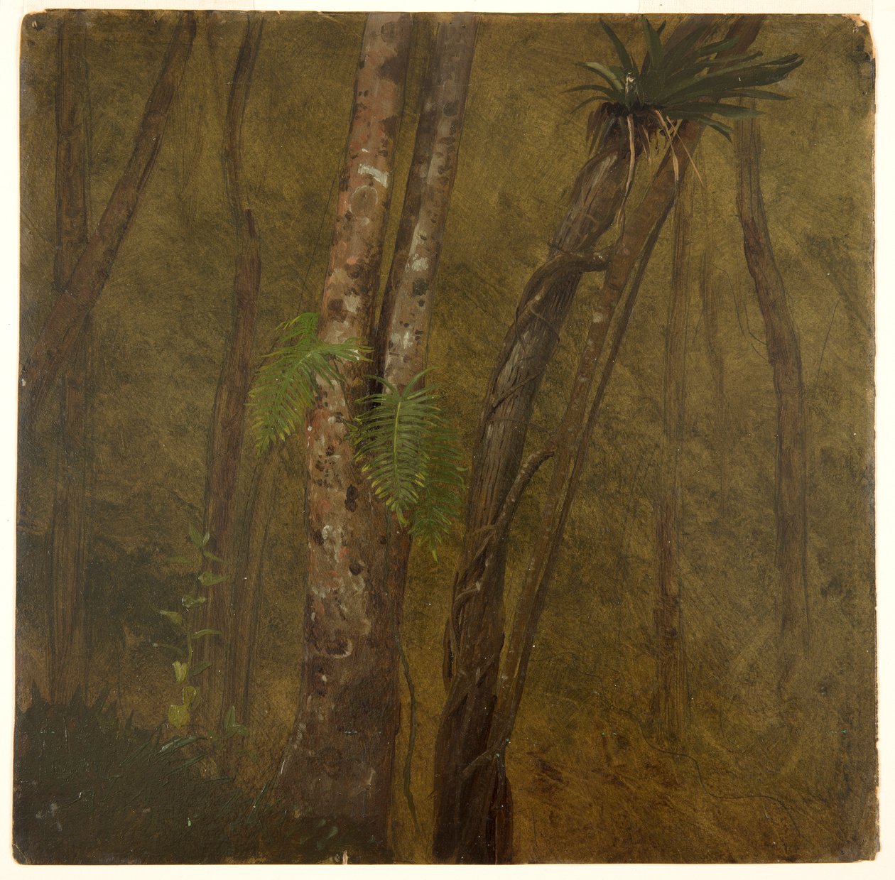 Paisaje en Jamaica de Frederic Edwin Church