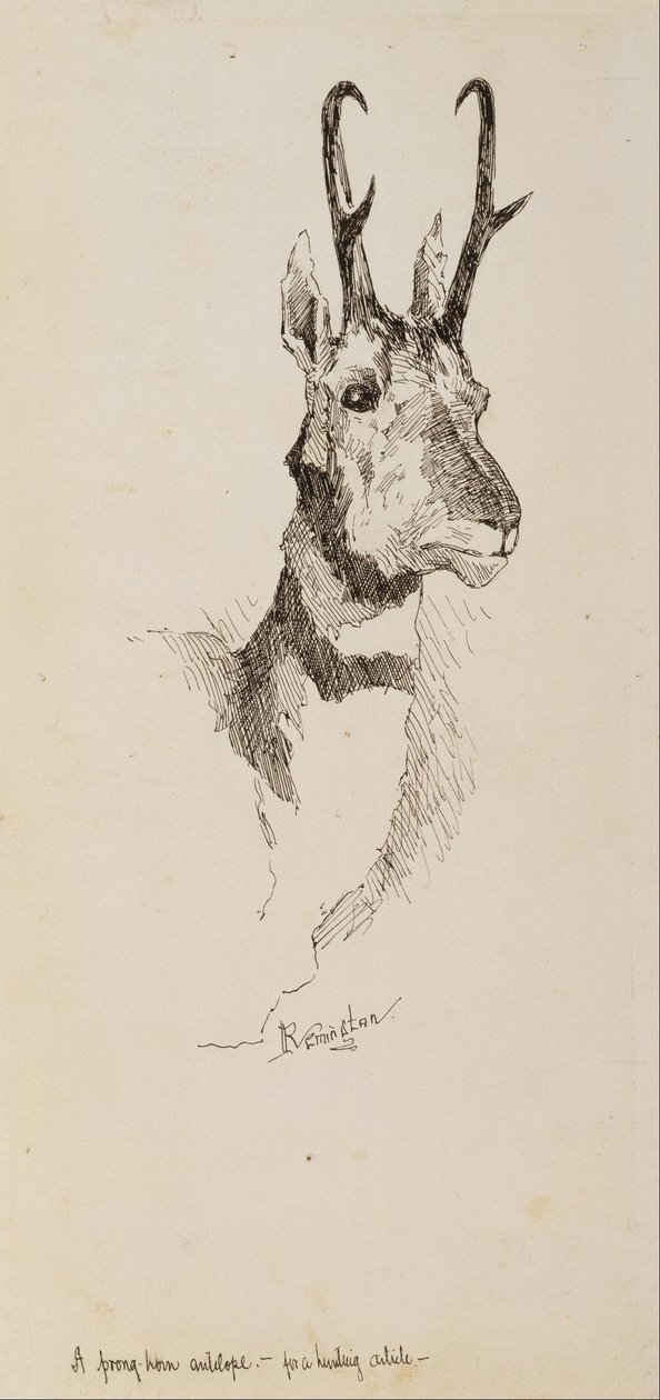 Un antílope berrendo de Frederic Remington
