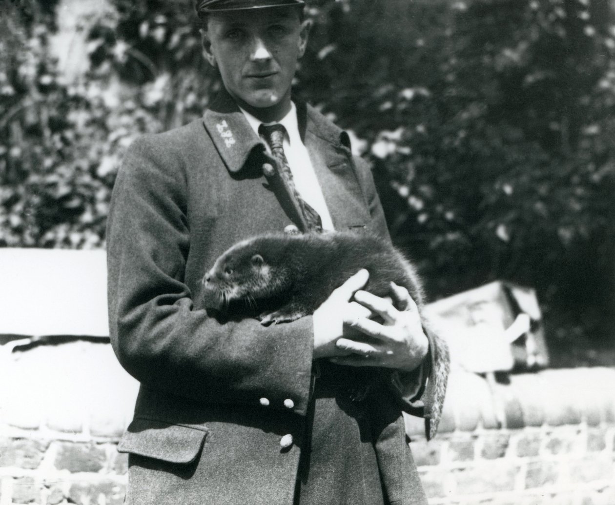 El Guardián Leslie Martin Flewin sostiene una cría de nutria en sus brazos en el Zoológico de Londres, junio de 1922 de Frederick William Bond