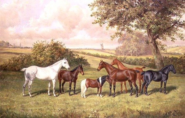 Un grupo de ponis de Frederick Albert Clark