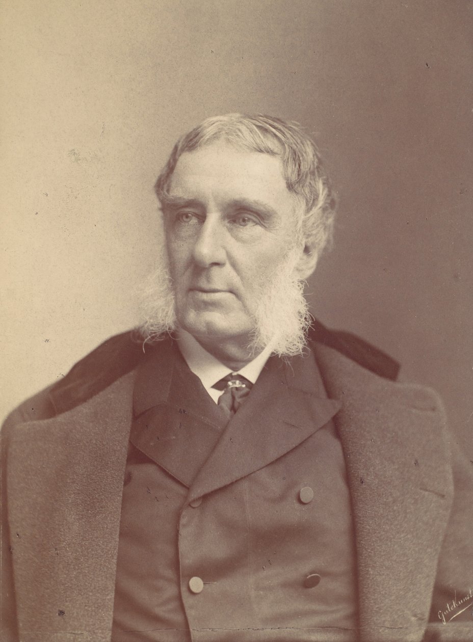 [Hombre con patillas], 1870s-80s de Frederick Gutekunst
