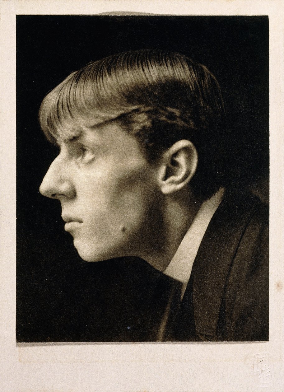 Aubrey Beardsley de Frederick Henry Evans