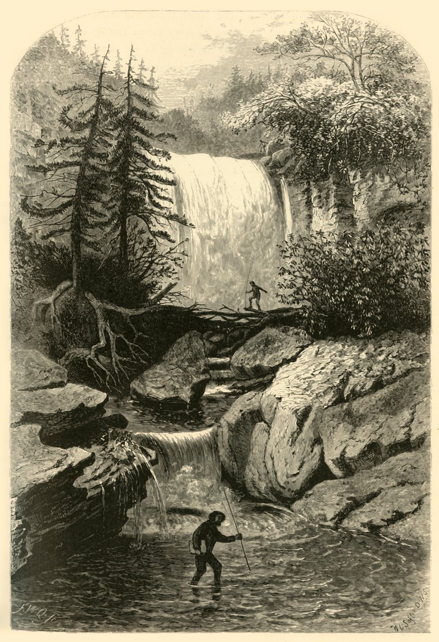 Cataratas del Blackwater, 1872 de Frederick William Quartley
