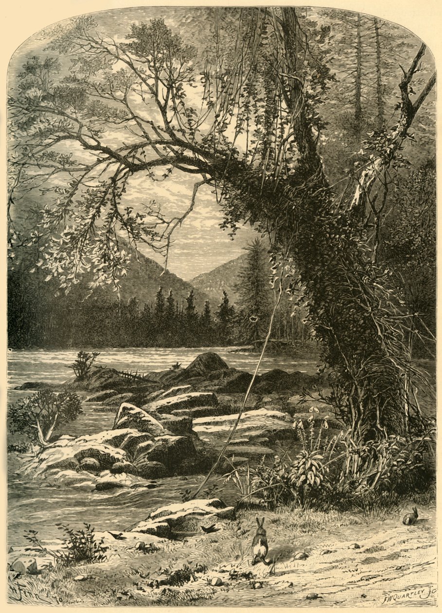 El French Broad, 1872 de Frederick William Quartley