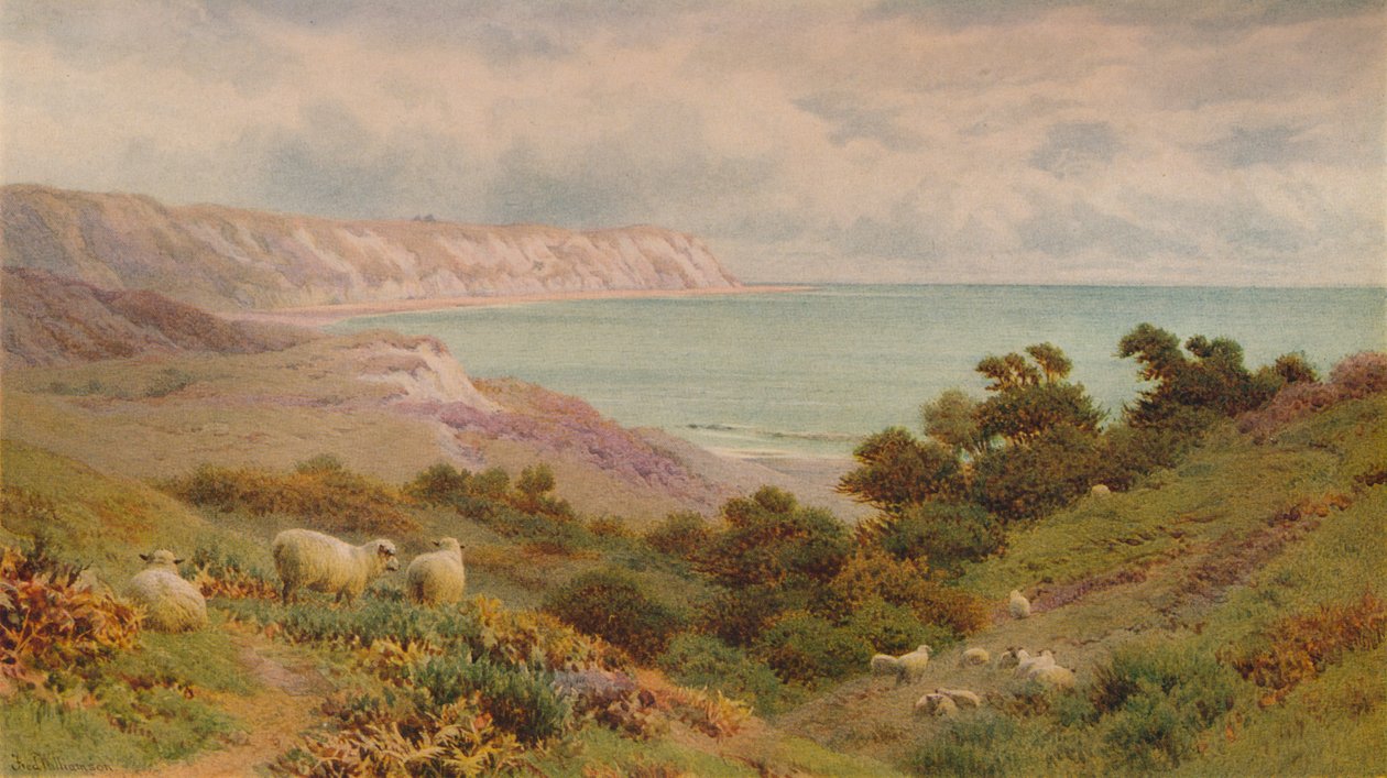 The Warren, Folkestone de Frederick Williamson