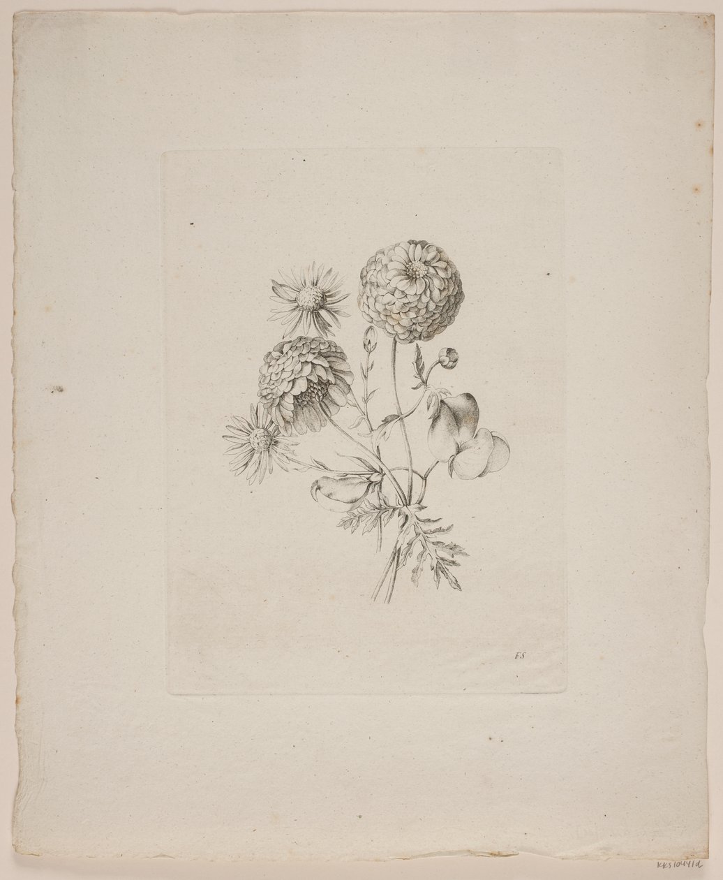 Motivo floral de Frederik Schepelern