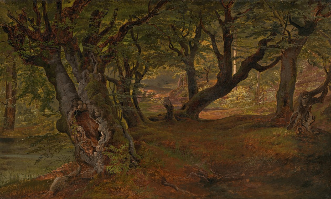 Vista del bosque de Bregentved, Sjaeeland de Frederik Sødring