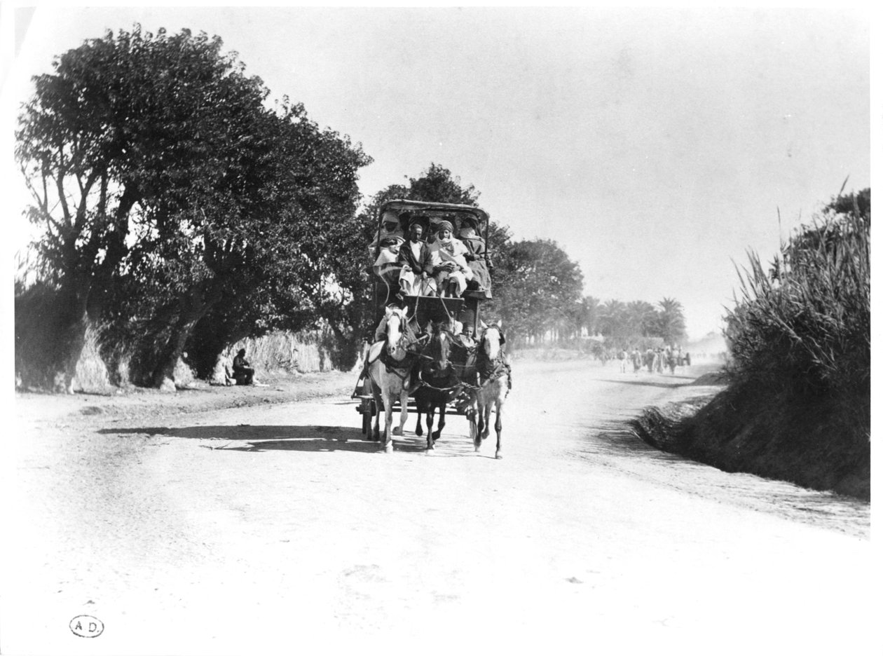 Un coche de caballos en Argelia, finales del siglo XIX de French Photographer