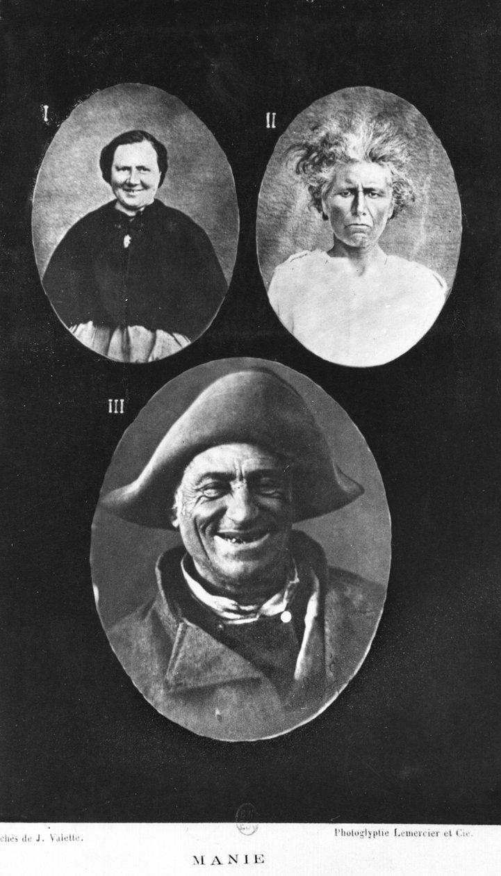 Manía, ilustración de Nouveau traité élémentaire et pratique des maladies mentales por Henri Dagonet (1823-1902) París, Baillière, 1876 de French Photographer