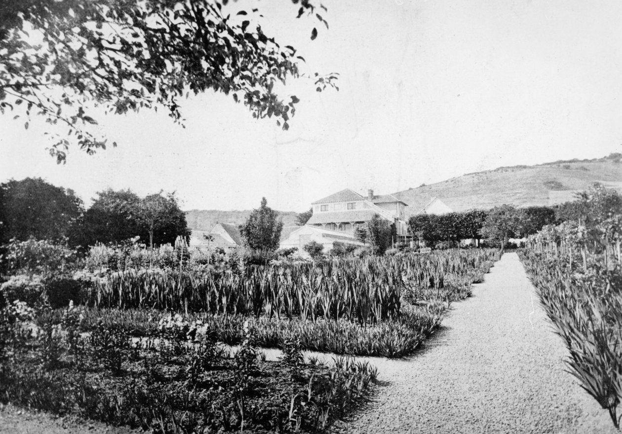El Jardín de Monet, Giverny, c.1908 de French Photographer