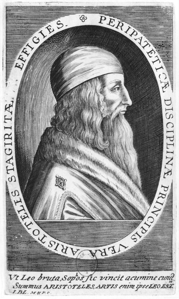 Aristóteles (384-322 a.C.) de French School
