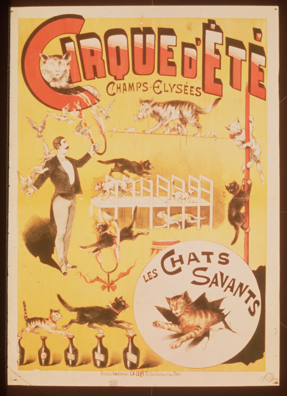 Póster publicitario del Cirque d