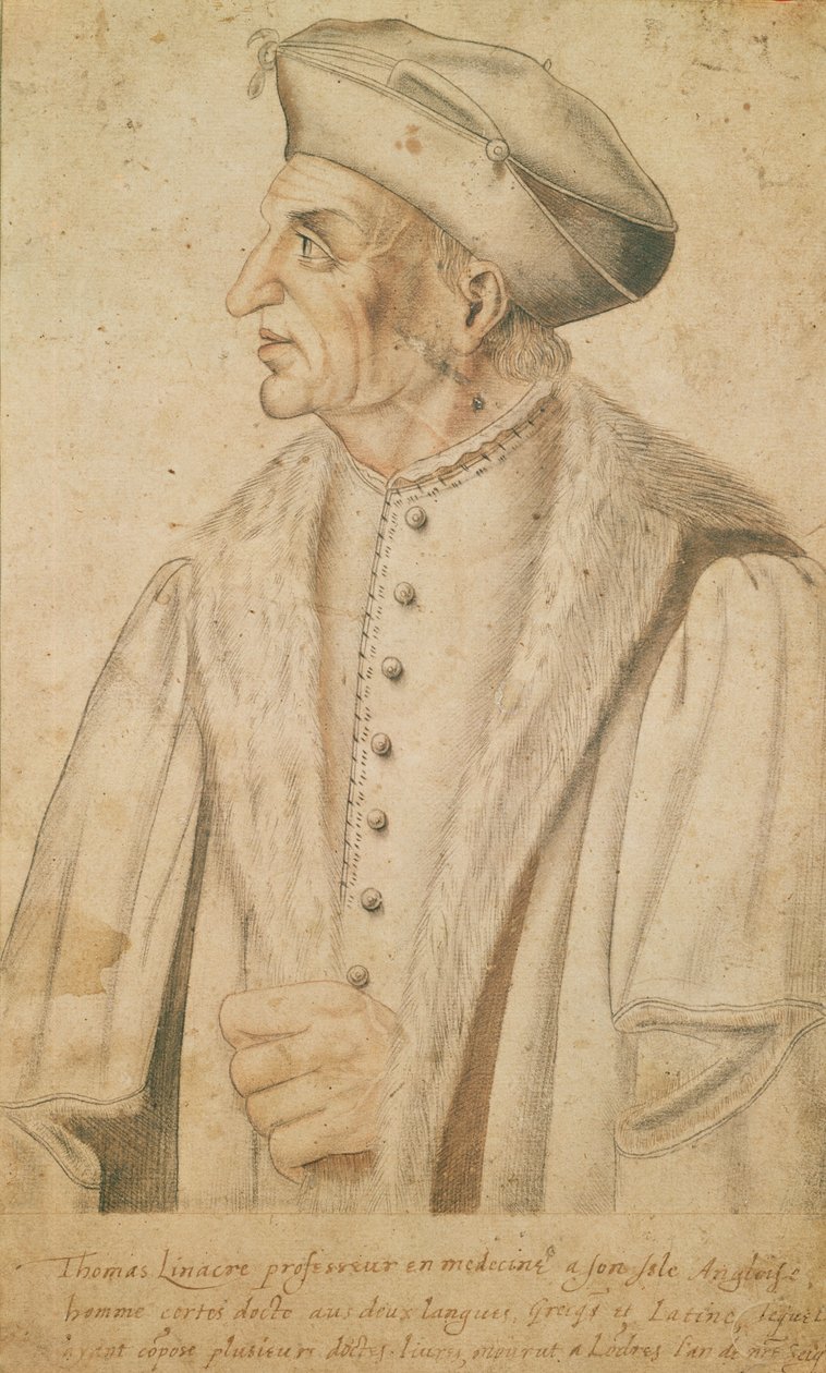 Thomas Linacre de French School