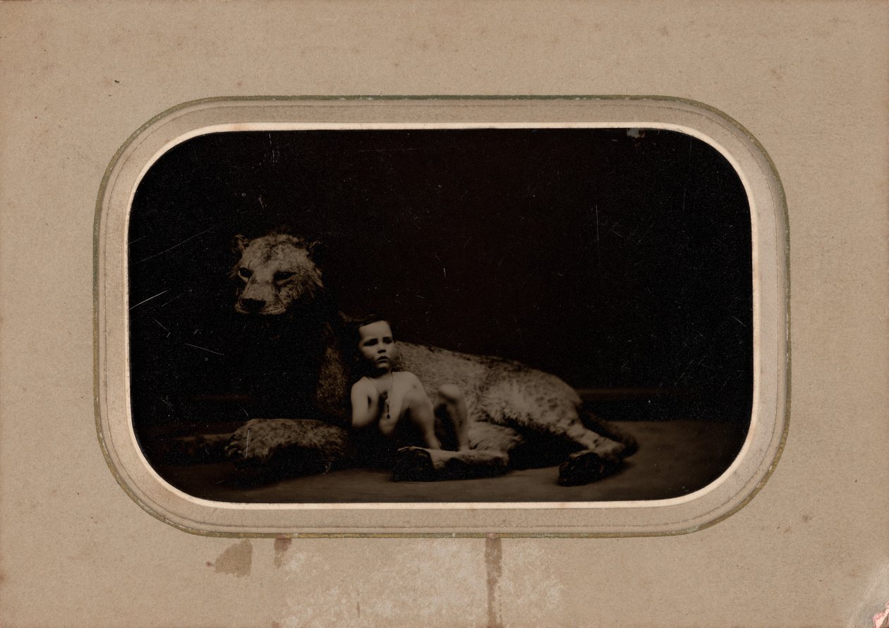 Retrato de un niño,c. 1860 (foto) de French Photographer