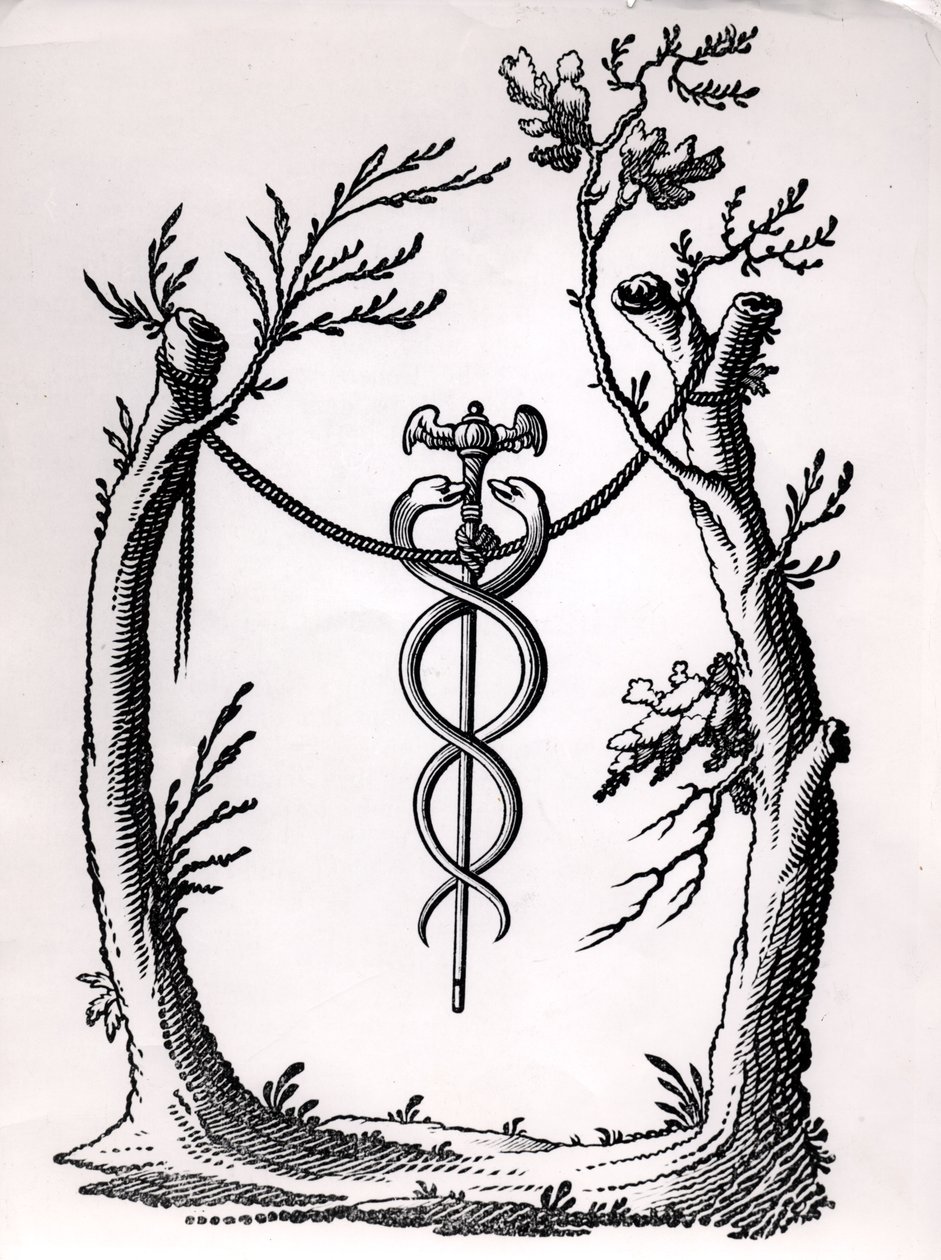 Un caduceo de French School