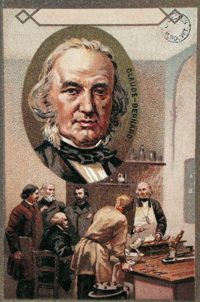 Claude Bernard (1813-78) de French School