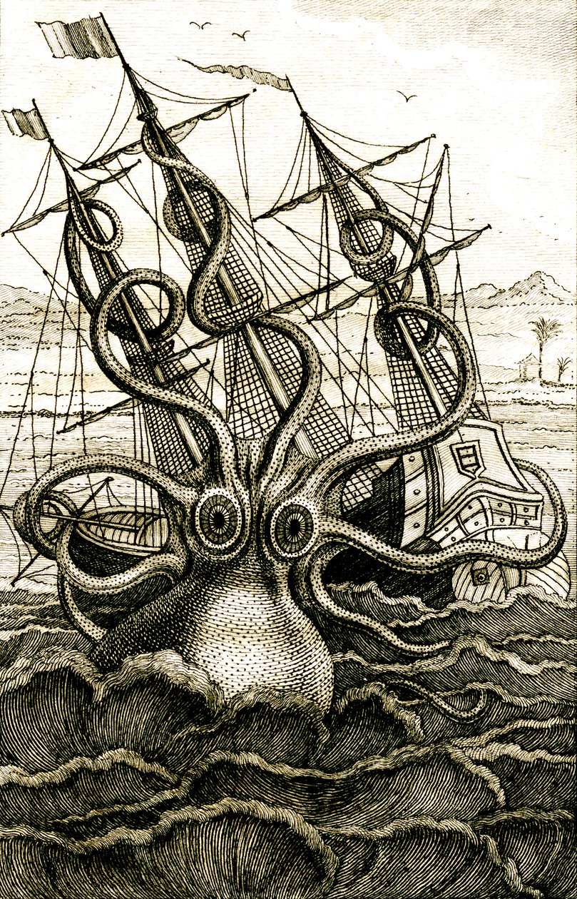 Pulpo colosal, c.1802 (grabado) de French School