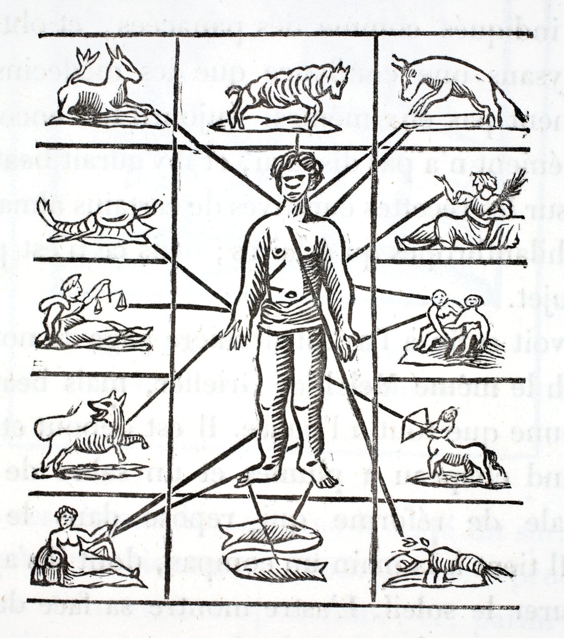 Designación de las partes que cada signo gobierna de French School