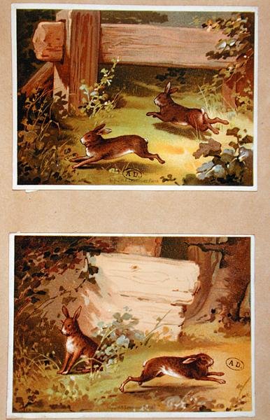 Liebres y conejos, c.1890 de French School