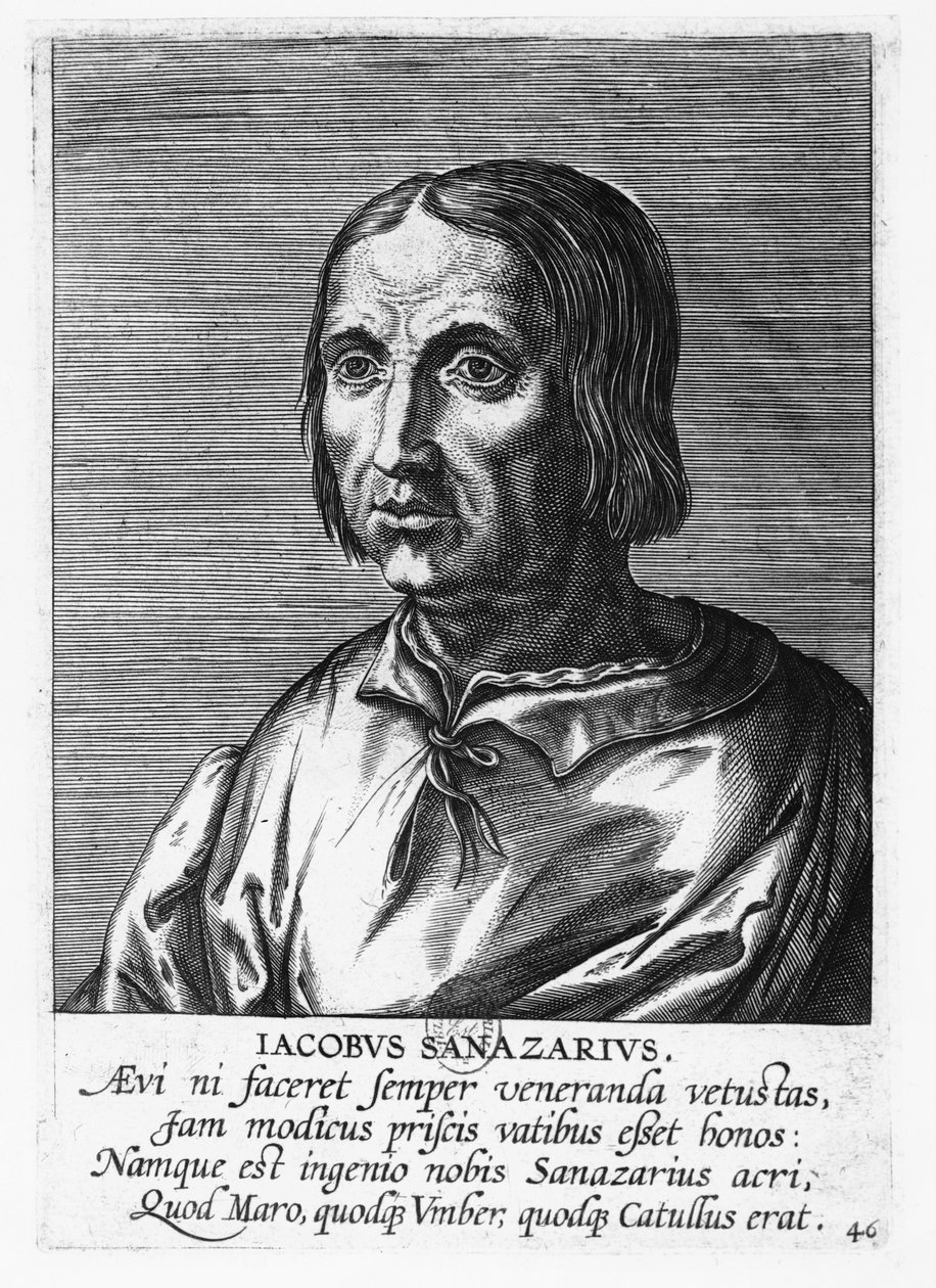 Jacopo Sannazaro (grabado) de French School