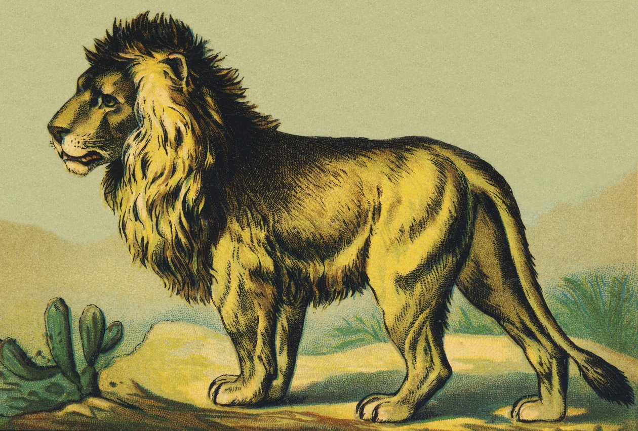 L como León de French School
