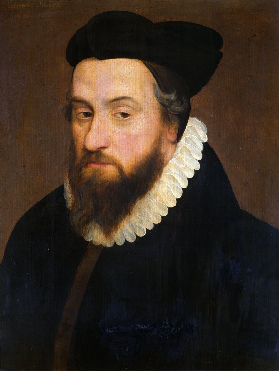 Laurent Joubert (1529-83) de French School