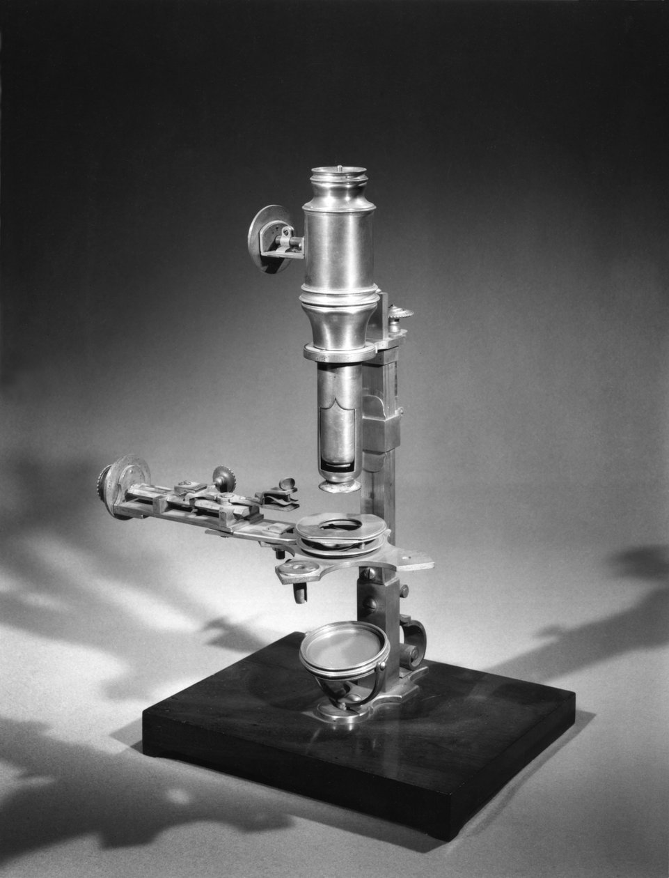 Microscopio de French School
