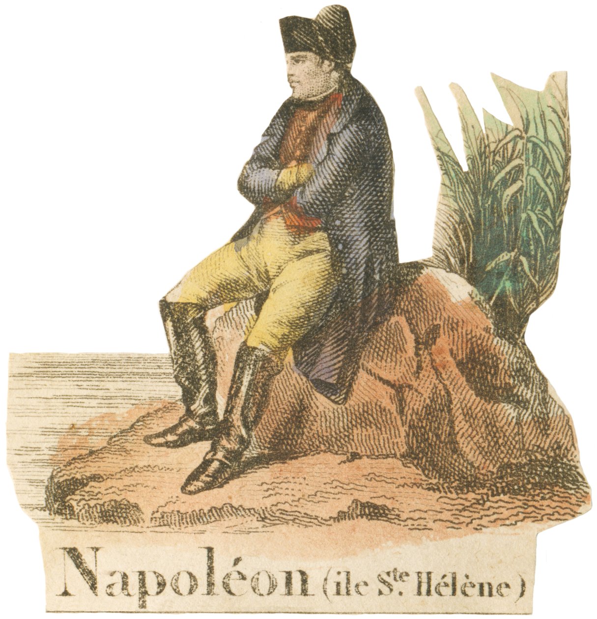 N como Napoleón de French School