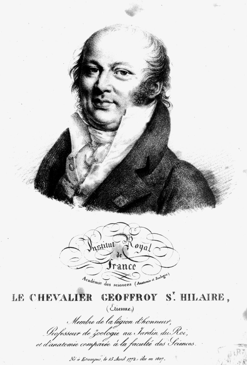Retrato de Etienne Geoffroy Saint-Hilaire (1722-1844) de French School