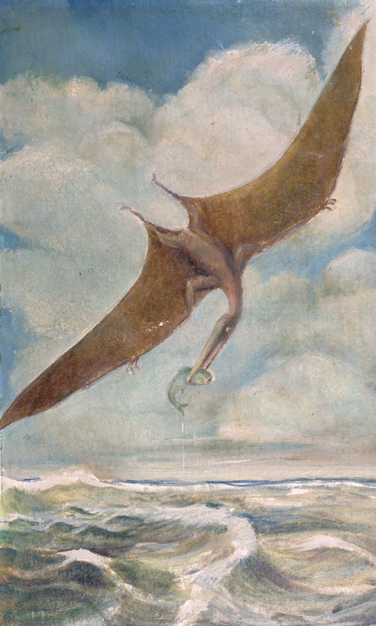 Pterodáctilo pescando de French School