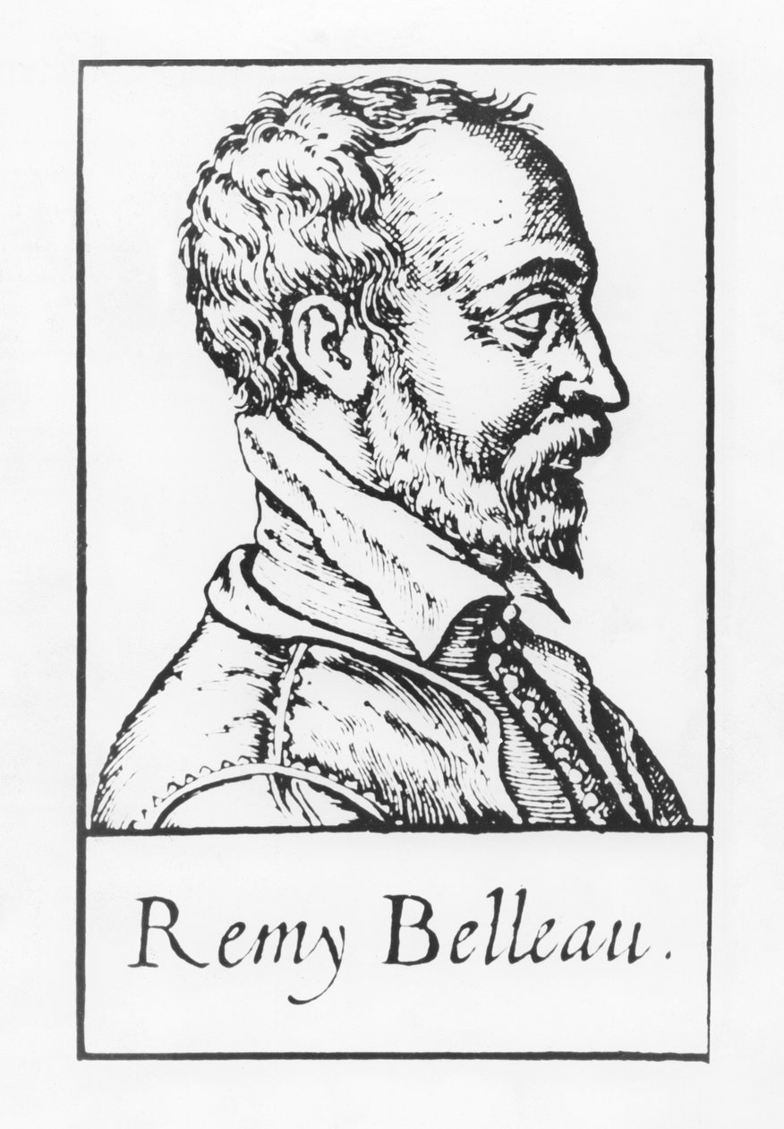 Remy Belleau de French School