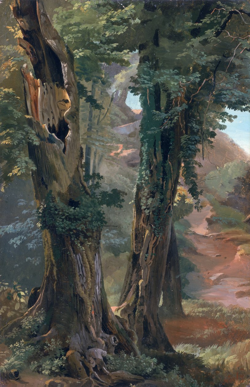 Olmos Viejos, c.1835 de Friedrich Nerly