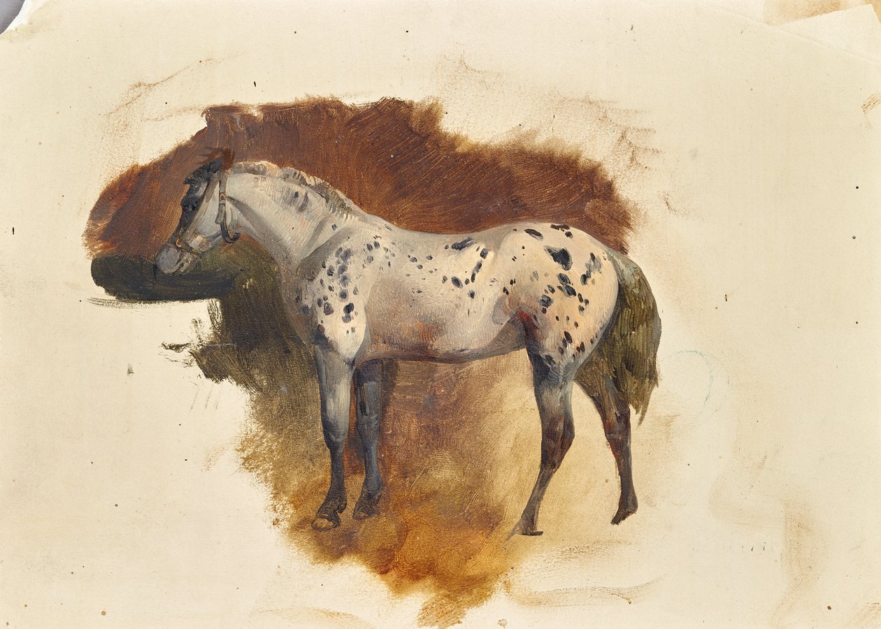 Moho manchado de Friedrich August Mathias Gauermann