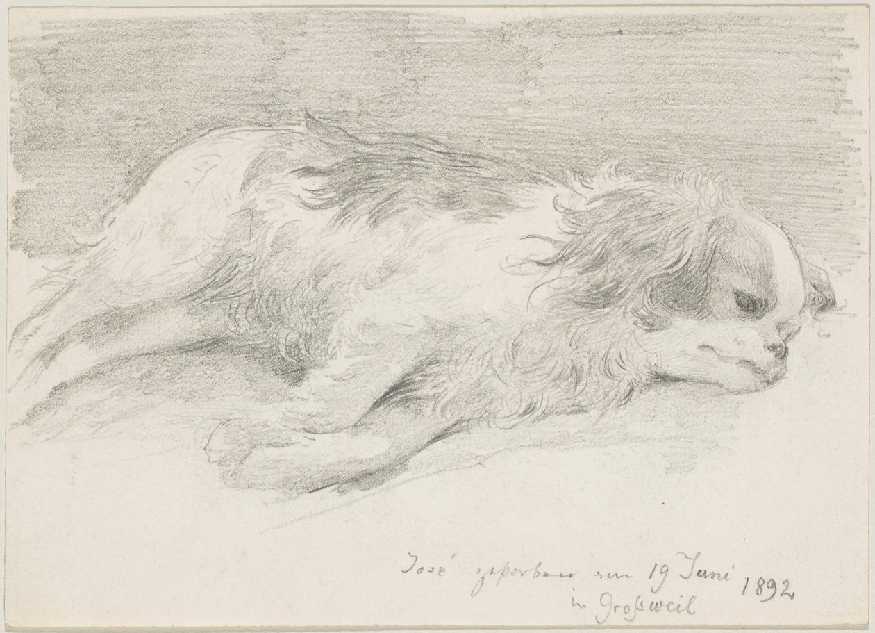 estudios de perros de Friedrich August von Kaulbach
