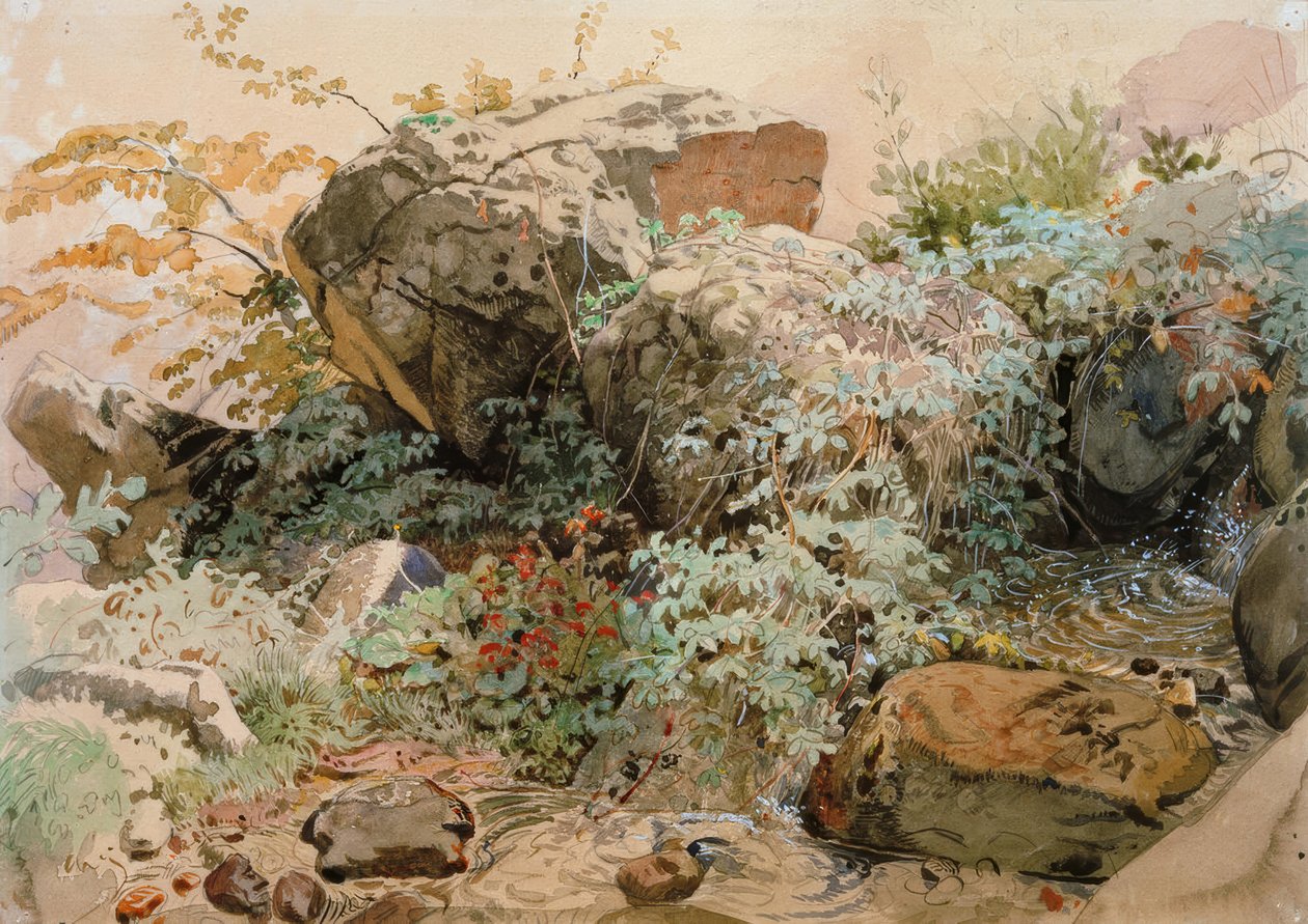 Rocas cubiertas de arbustos junto a un arroyo de montaña de Friedrich Nerly