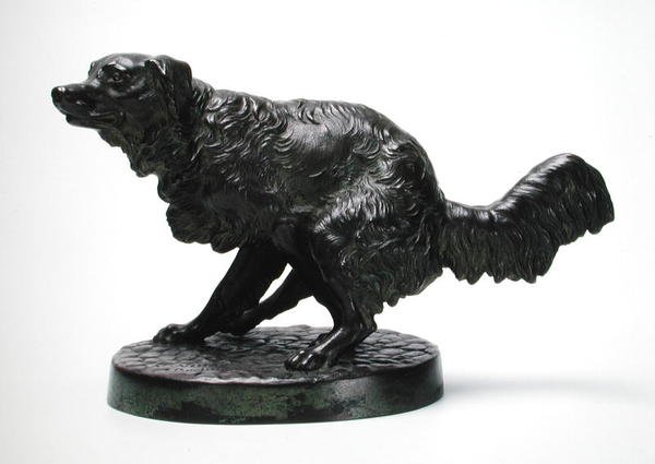 Perro de caza de pelo largo de Friedrich Wilhelm Wolff