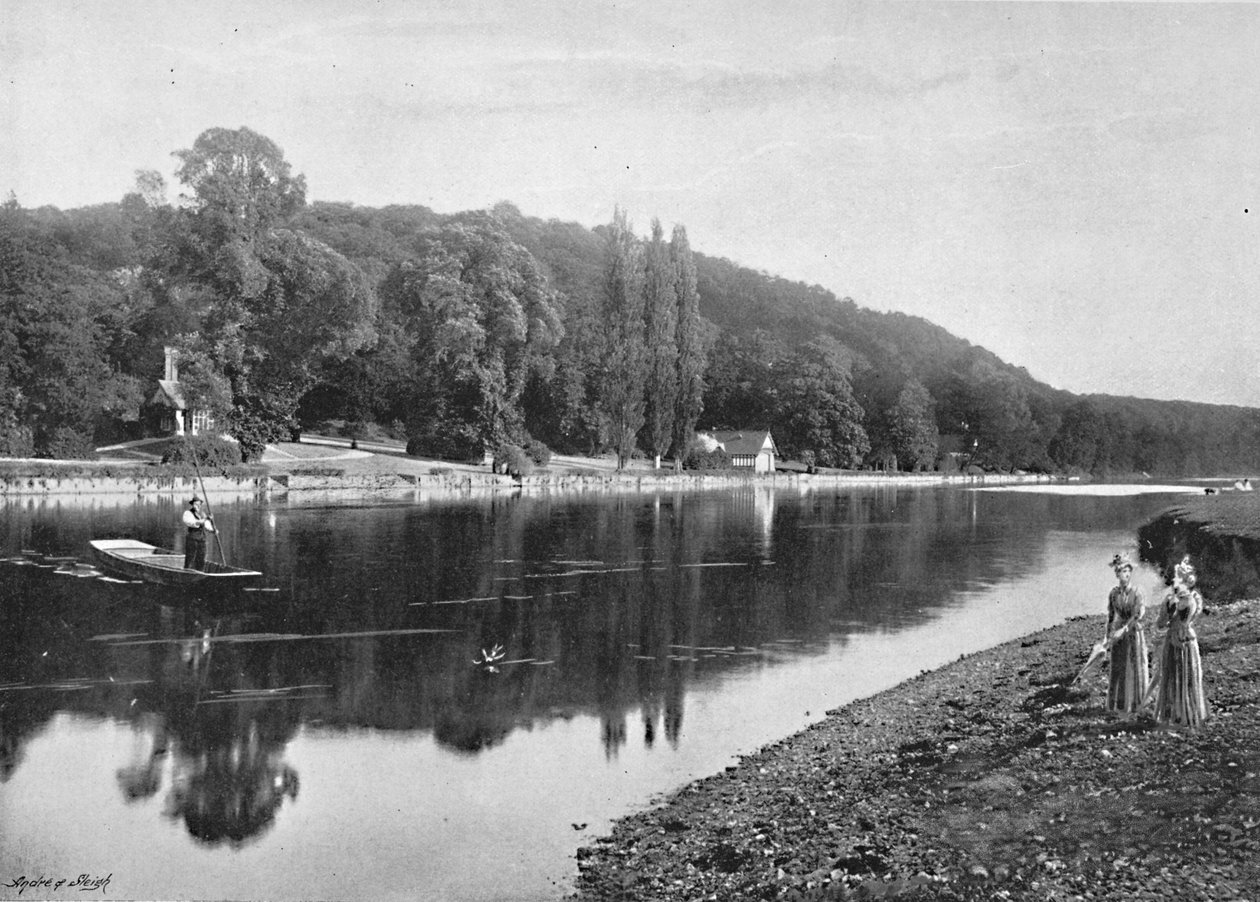Bosques de Cliefden, c1896 de Frith and Co