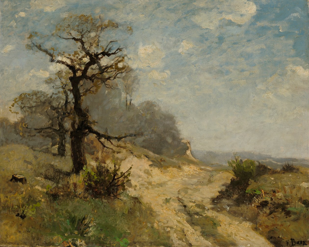 paisaje con camino de Fritz Baer