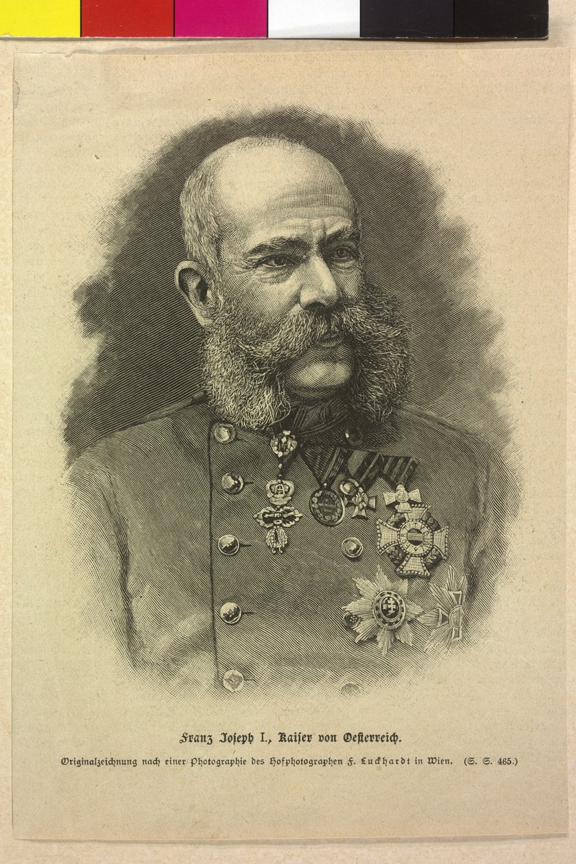 Francisco José I de Fritz Luckhardt